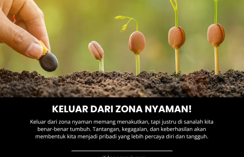 Zona Bertumbuh adalah Tempat yang Tidak Nyaman