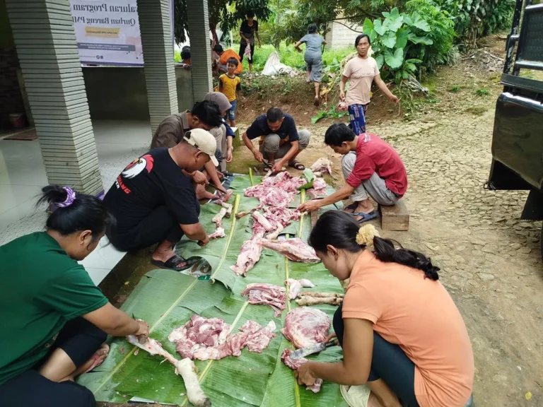 Penataan dan Pemotongan Daging Qurban