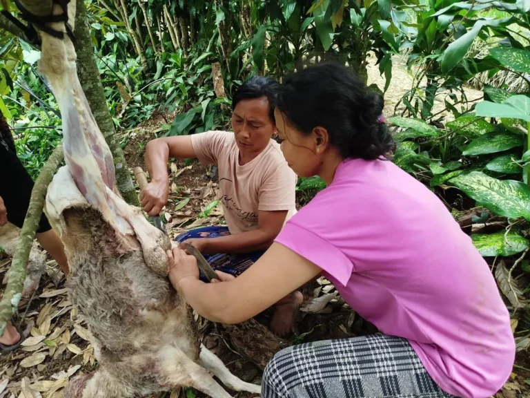 Penyembelihan Daging Qurban 1