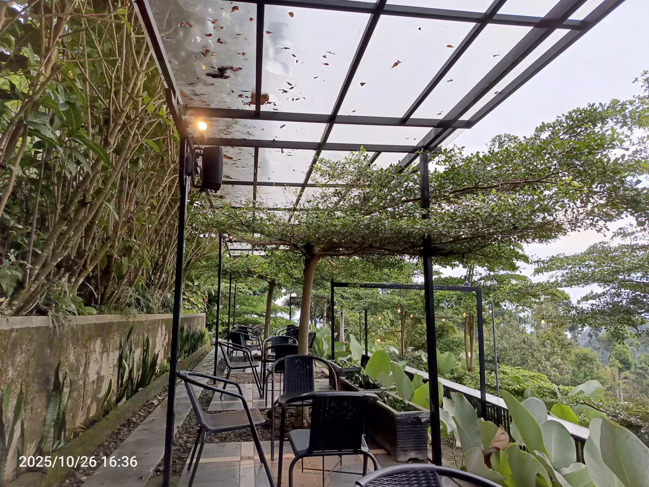 Tempat Duduk Mloko Jajar Coffee Shop