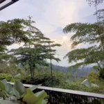 View Moko Jajar Coffee Shop