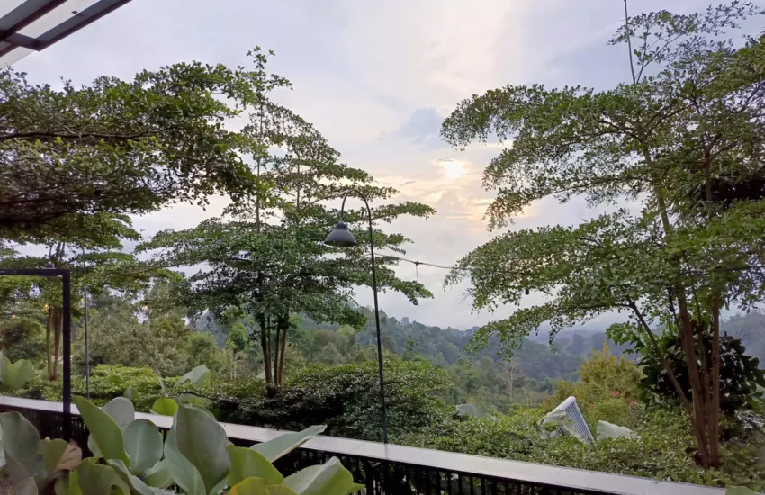 View Moko Jajar Coffee Shop