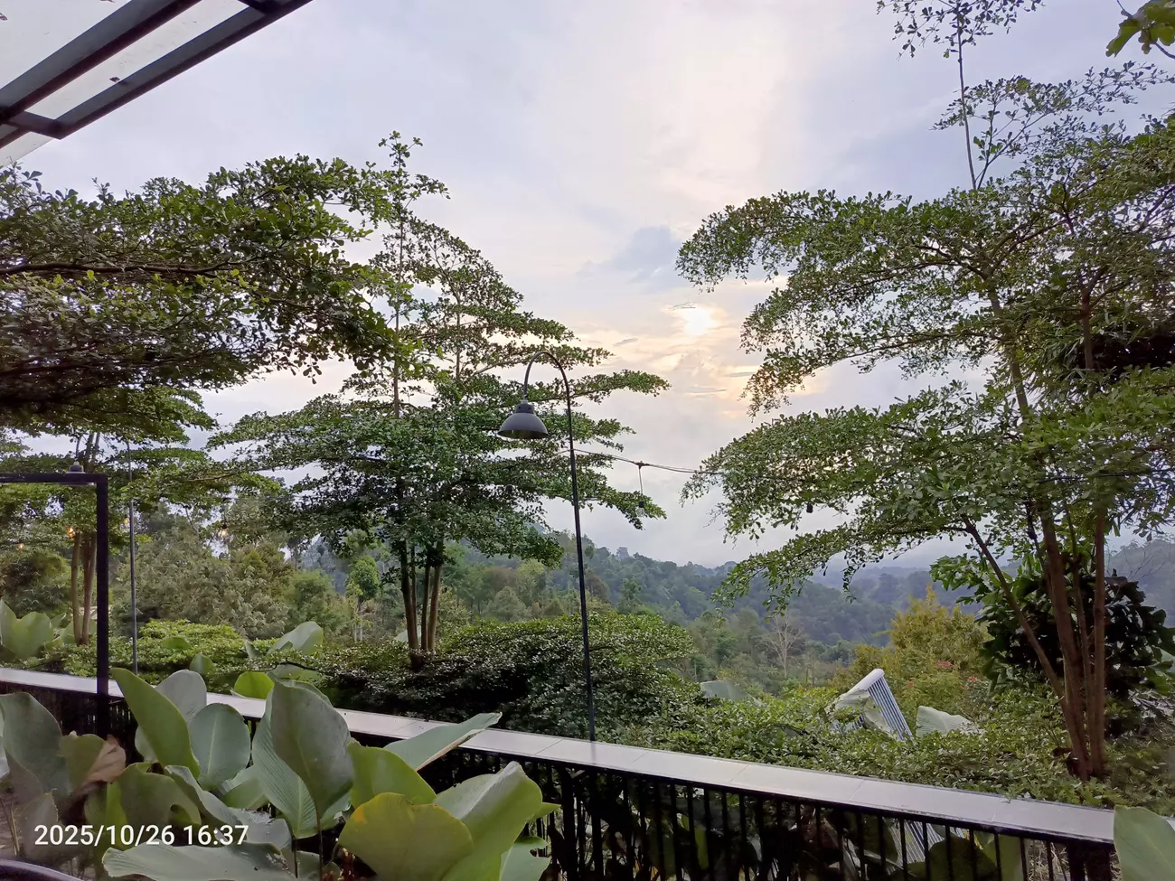 View Moko Jajar Coffee Shop