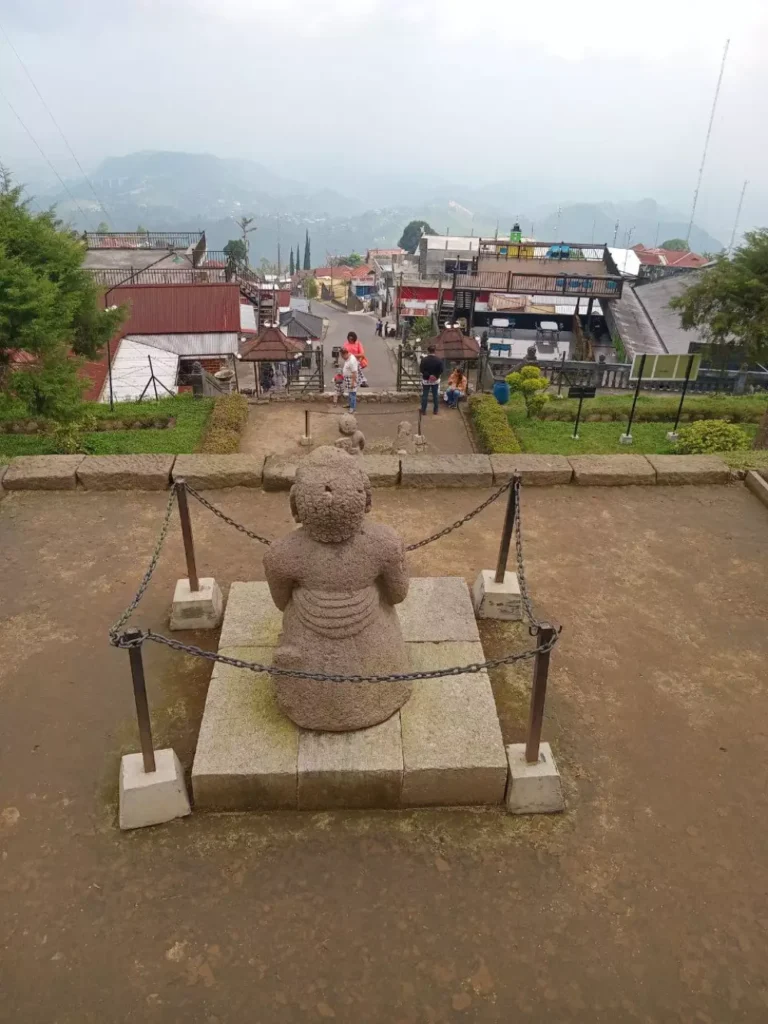 photo_6087019465590639521_y