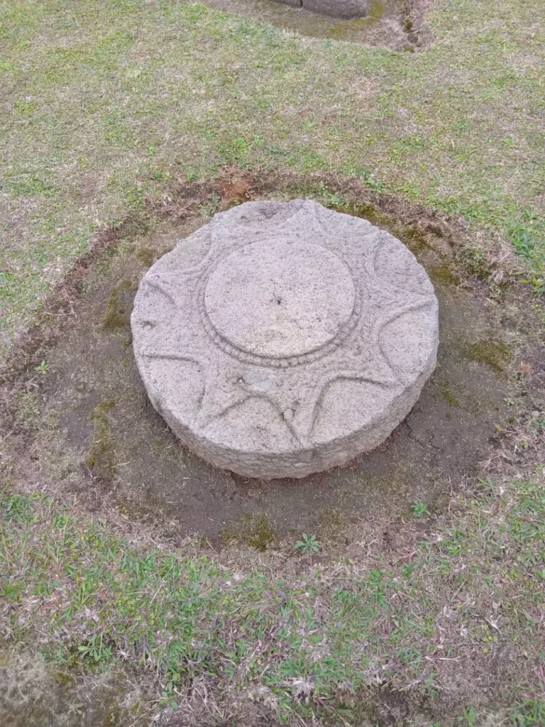 photo_6087019465590639522_y