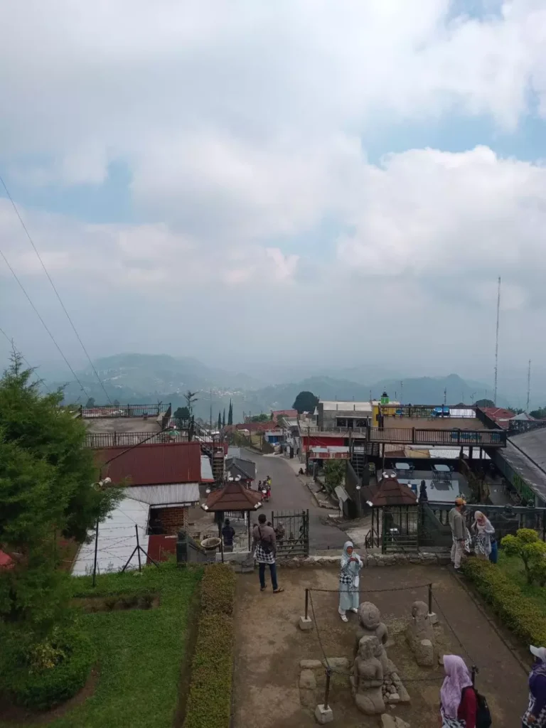 photo_6087019465590639528_y