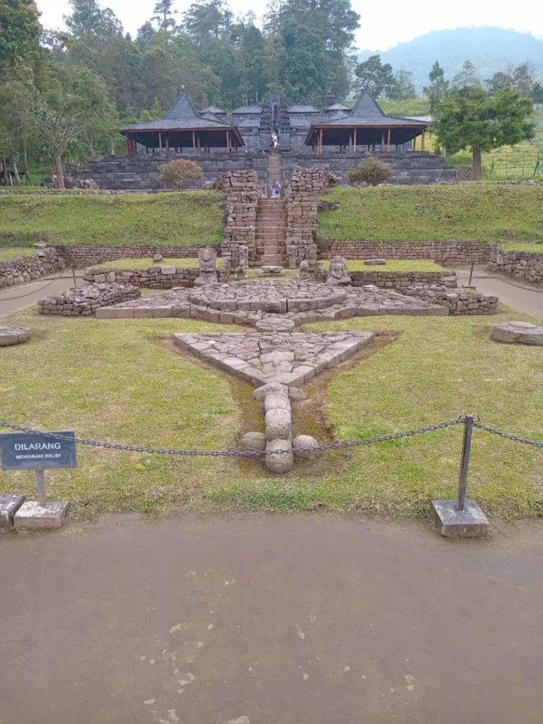 photo_6087019465590639530_y