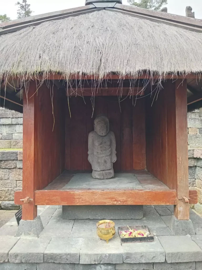 photo_6087019465590639533_y