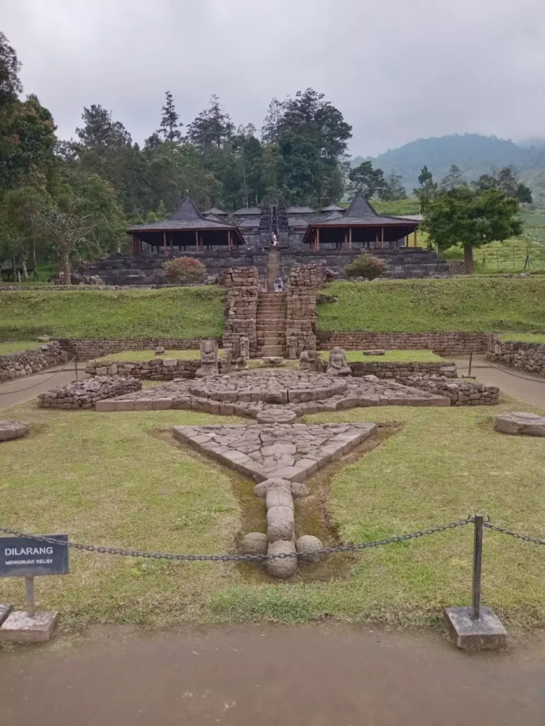 photo_6087019465590639537_y