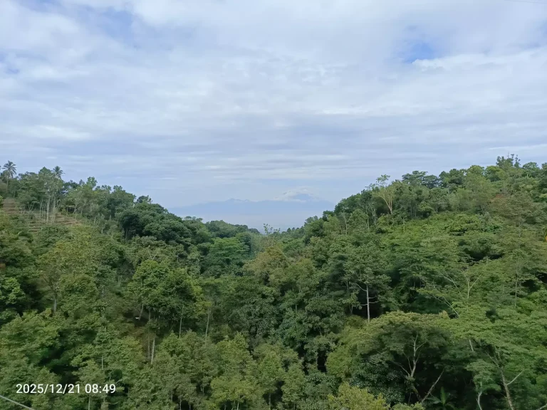 IMG_20251221_084937_646