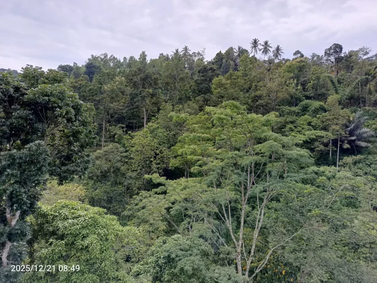 IMG_20251221_084959_338