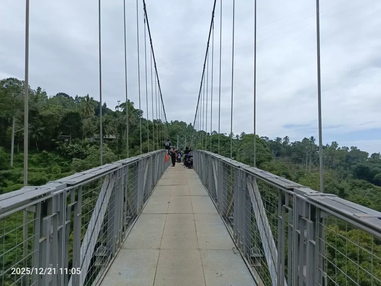 IMG_20251221_110531_701