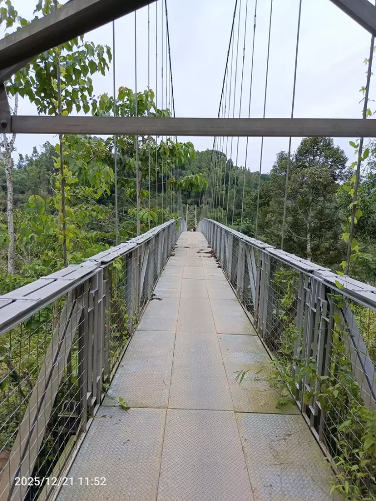 IMG_20251221_115234_906