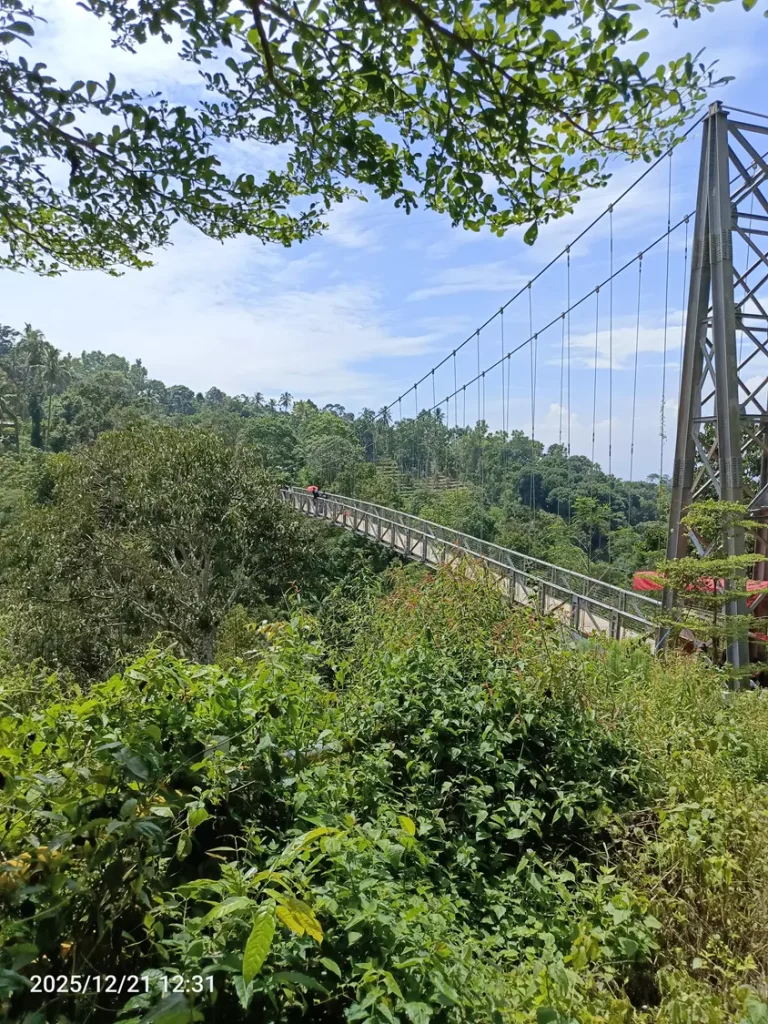 IMG_20251221_123122_732