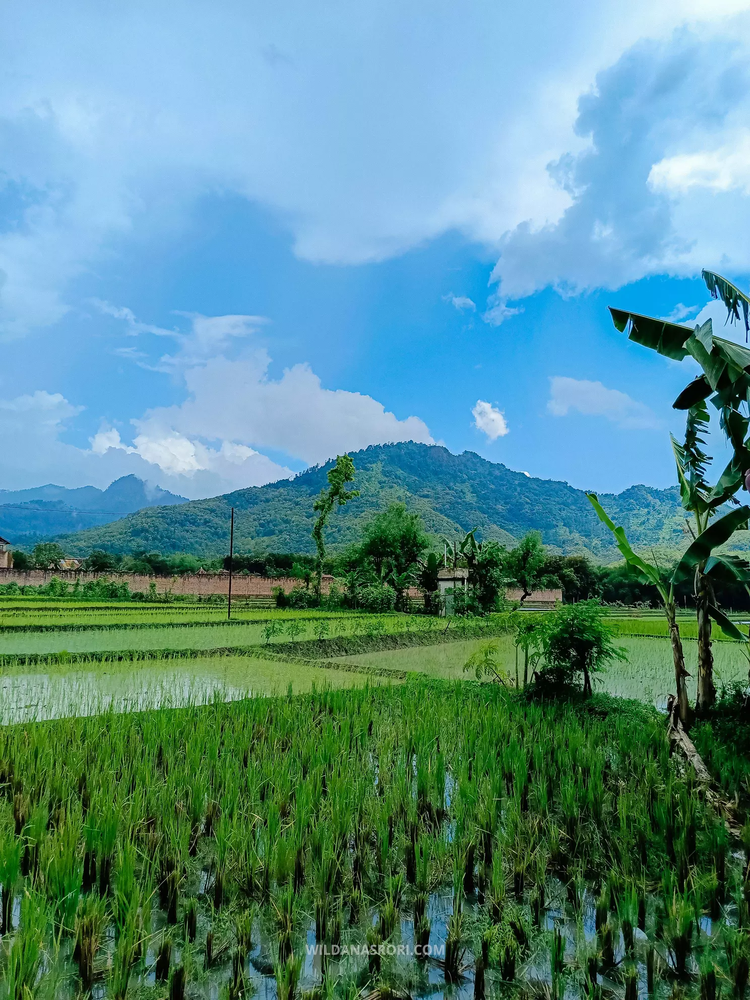 Pemandangan Saat di Perjalanan Pantai Kebo